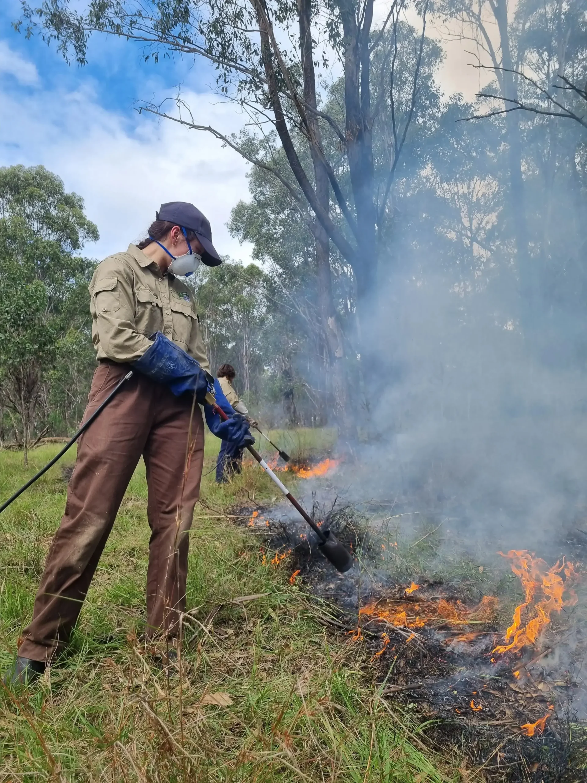 Employee using a flame torch to flame weed and area in the bush.